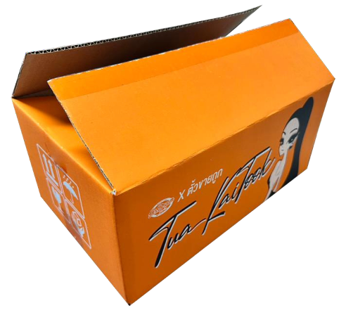 Custom printed retail box